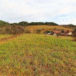 EXKLUZÍVNE ZÁHRADA-SAD s potenciálom stavebného pozemku v obci Klenov o výmere 1736 m2
