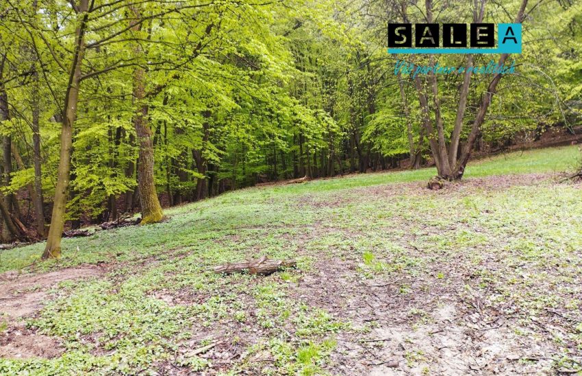 Rovinatý pozemok v obci Krajné o výmere 1.500 m2