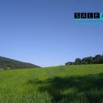 Pozemok určený na individuálnu výstavbu v obci Modrová o výmere 13.617m2