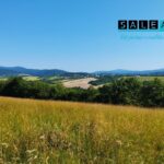 Pozemok vhodný na vybudovanie ranču v obci Bzince pod Javorinou o výmere 12 801 m2