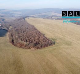 Veľký pozemok v obci Košariská o výmere 6.065 m2