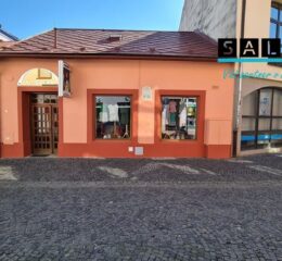 RODINNÝ DOM PRIAMO V CENTRE MESTA
