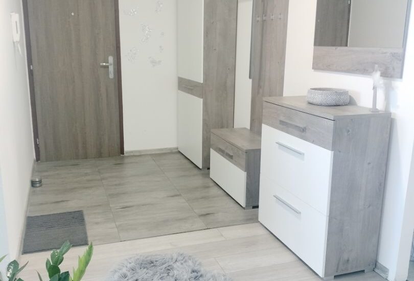 Nadštandardný 3 izbový byt zo saunou  v Šali-Veči