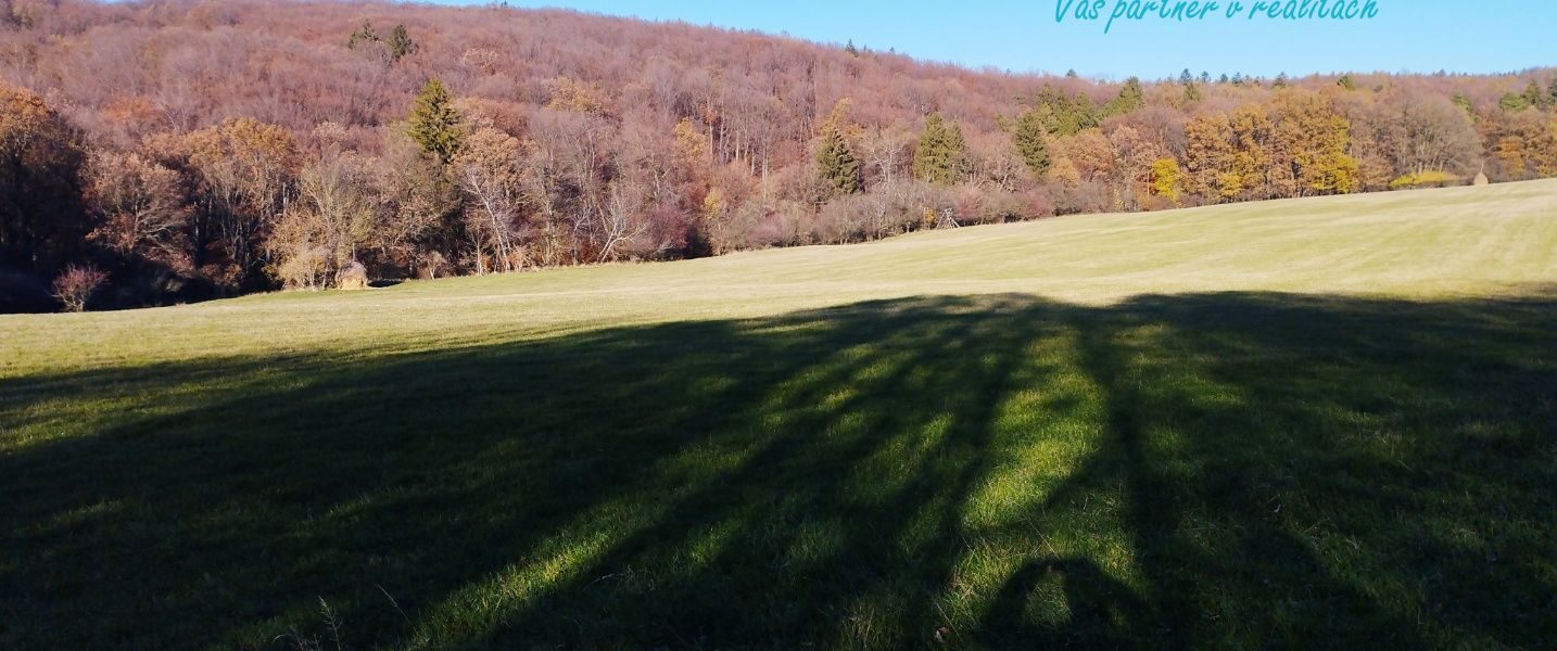 Krásny pozemok v obci Chvojnica časť - Hate o výmere 3845m2